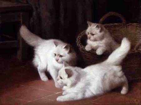Three White Angora Kittens von Arthur Heyer