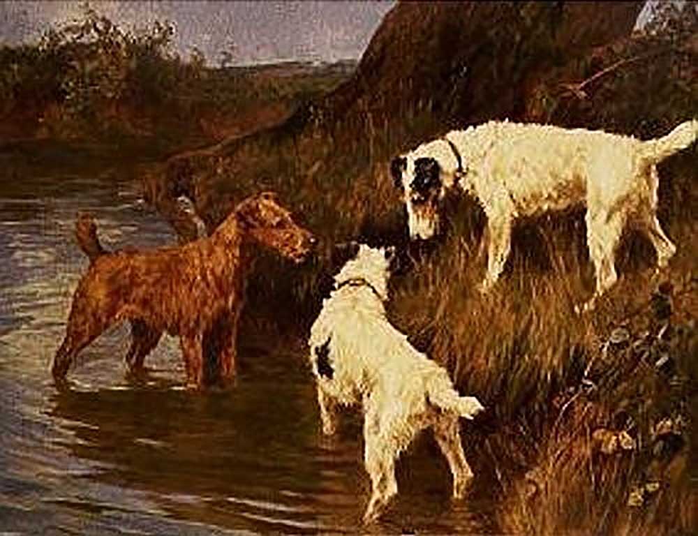 Drei Terrier an einer Uferböschung von Arthur Wardle