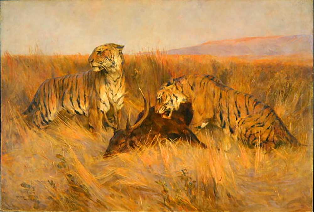 Tiger bei Kill von Arthur Wardle
