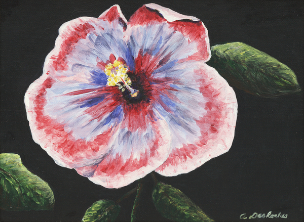 Hibiscus by Ann DesRoches von ArtLifting ArtLifting
