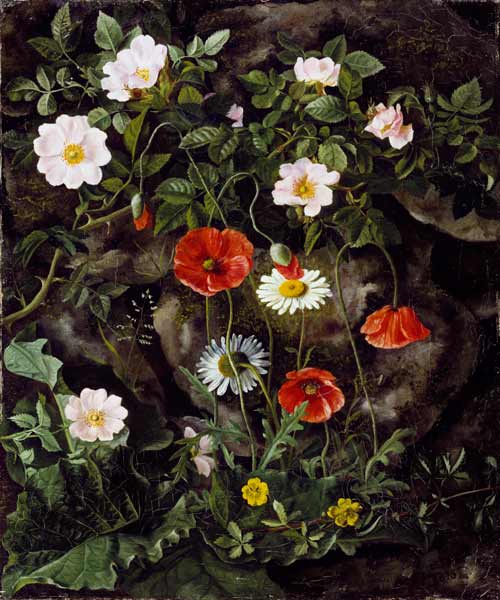 Wildrosen, Mohnblumen und Gänseblümchen an einer Steinbank. von Augusta Laessoe