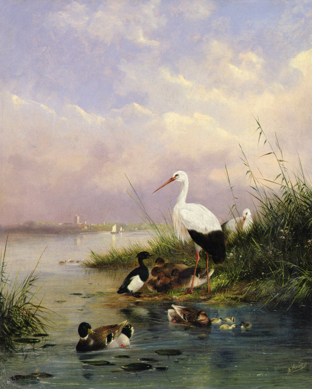 A family of Mallard, two Storks and a family of Tufted Ducks von Augustus Knip
