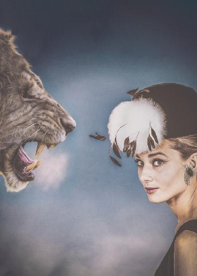Audrey und der Löwe