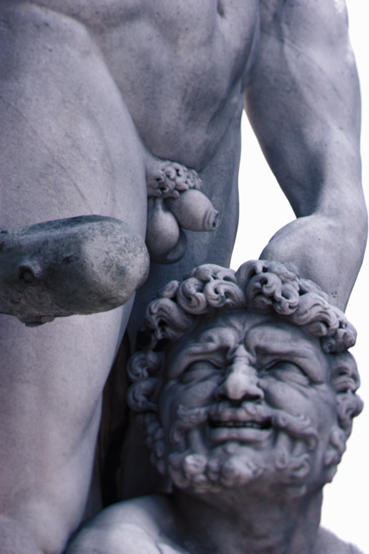 Detail from the Statue of Hercules and Cacus von Baccio Bandinelli