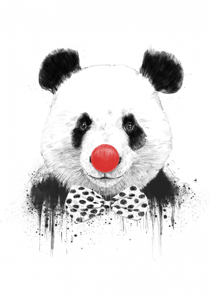 Clown-Panda von Balazs Solti