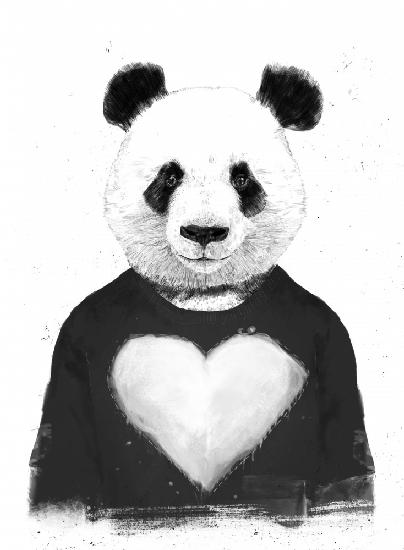 Schöner Panda