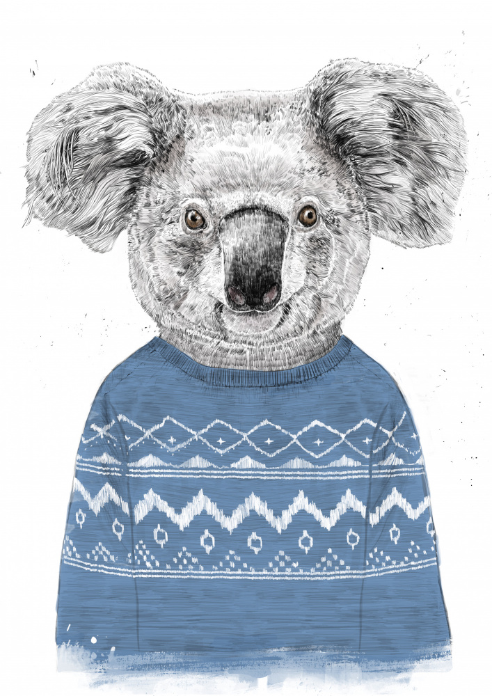 Winterkoala (blau) von Balazs Solti