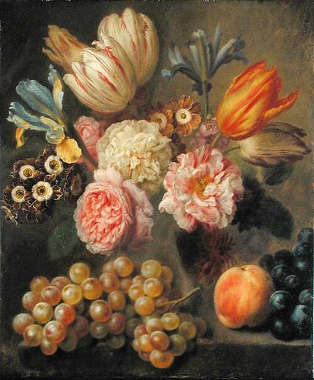 Flower Study von Balthasar Denner
