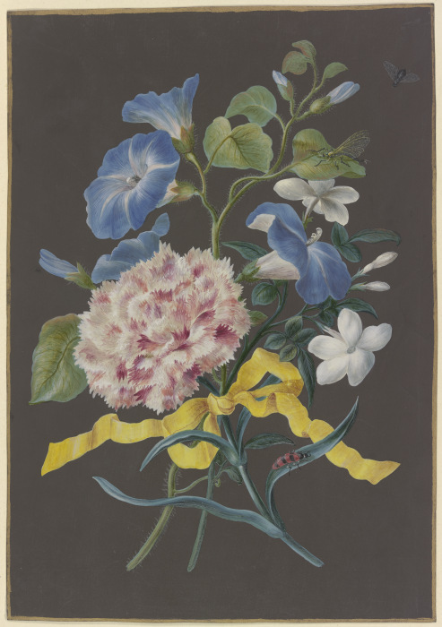 Blumengebinde mit rosa Nelke (Dianthus), blauer Winde (Convolvulus) und weißem Jasmin (Jasminum), mi von Barbara Regina Dietzsch