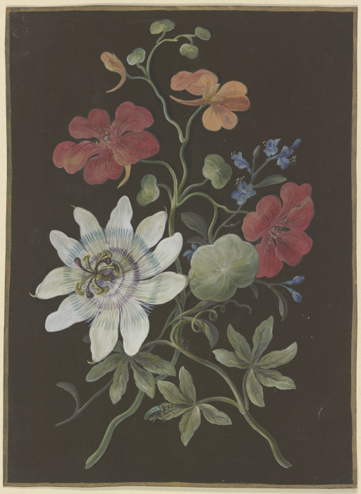Gesteck aus Passionsblume (Passiflora), roter Kapuzinerkresse (Tropaeplum) und Vergißmeinnicht (Myos von Barbara Regina Dietzsch