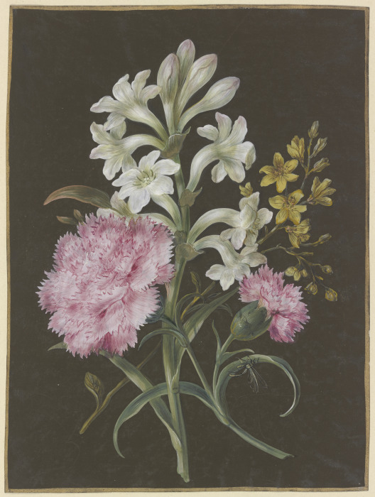 Gesteck aus Tuberose (Polyanthes), rosa Nelke (Dianthus) und gelber Blume mit Fliege von Barbara Regina Dietzsch