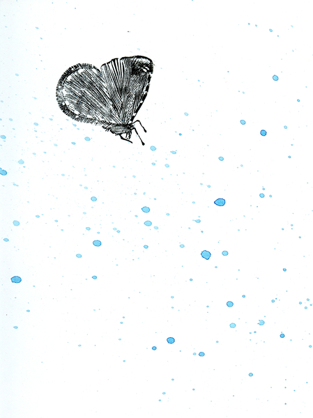 Moth {Fay-erie Dust} von Bella Larsson