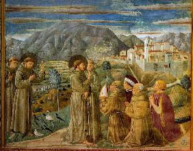 Heiliger Franziskus predigt zu den Vögeln (Freskenzyklus der Franziskuslegende) 1452