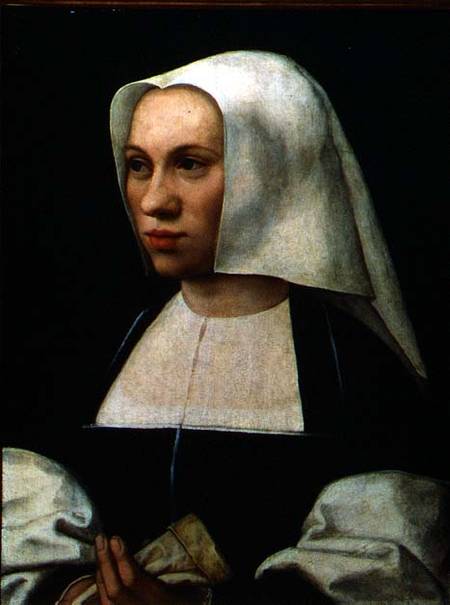 Portrait of a Woman von Bernard van Orley