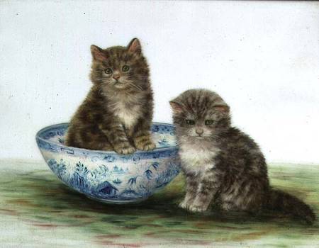 Kitten in a Blue China Bowl von Betsy Bamber