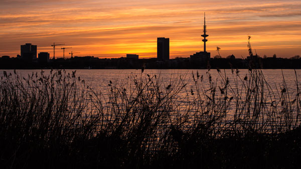 Alster Sonnenuntergang (Hamburg) von Birge George