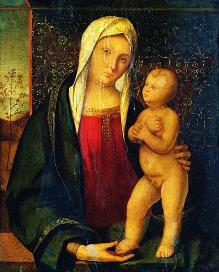 Madonna and Child von Boccaccio Boccaccino