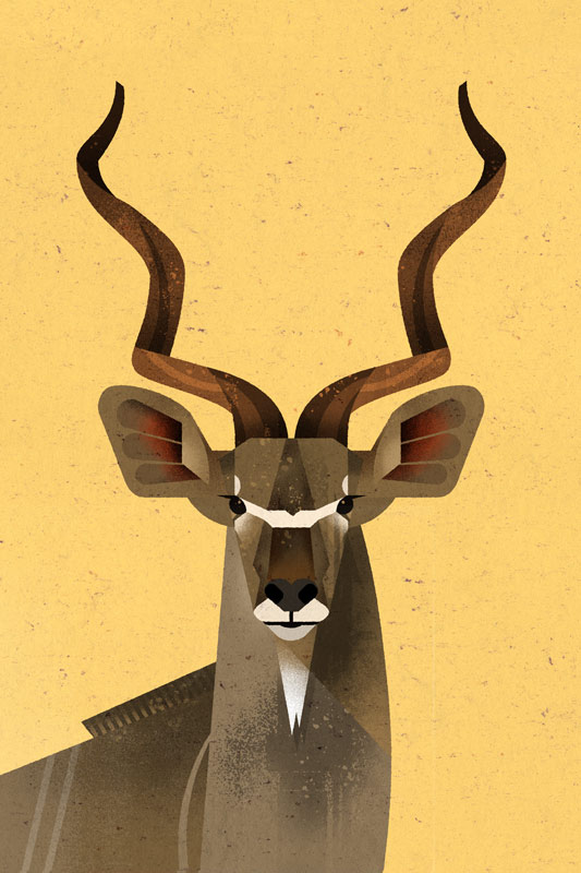 Großer Kudu von Dieter Braun