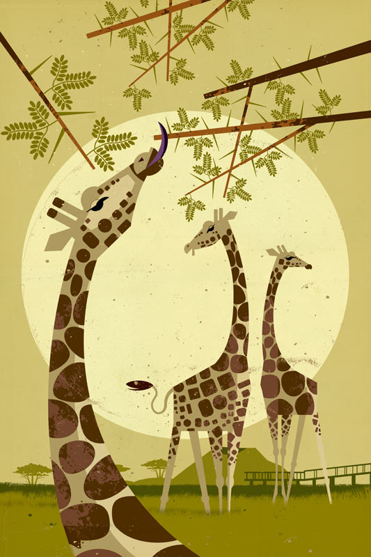 Giraffen von Dieter Braun