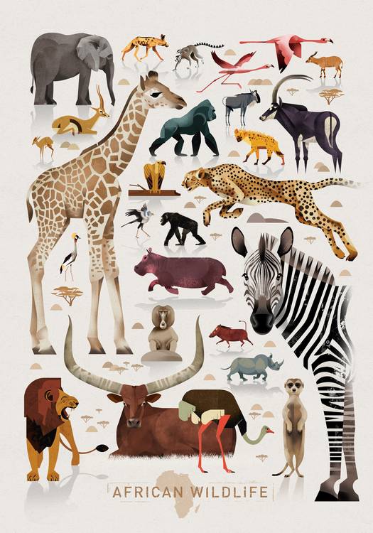 African Wildlife von Dieter Braun