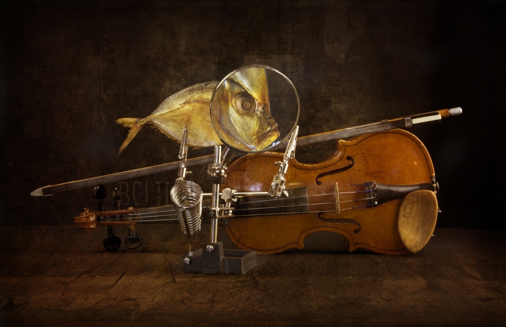 Fisch und Geige von Brig Barkow