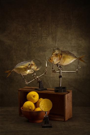 Gespräch zweier Mondfische über die Eigenschaften von Zitronen