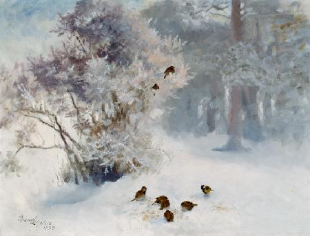 Vogelfütterung im Schnee 1937