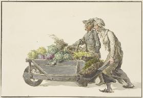 Zwei Gärtner fahren Gemüse auf den Markt