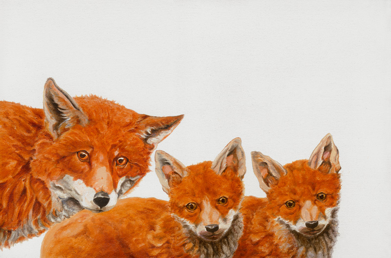 Meet the Foxes von Maxine R. Cameron