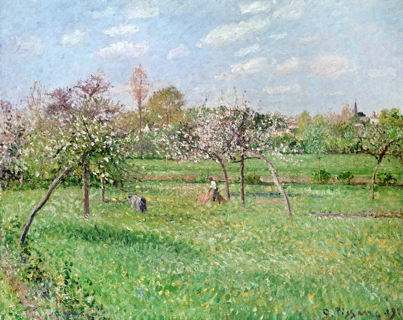 Apple Trees at Gragny, Afternoon Sun von Camille Pissarro
