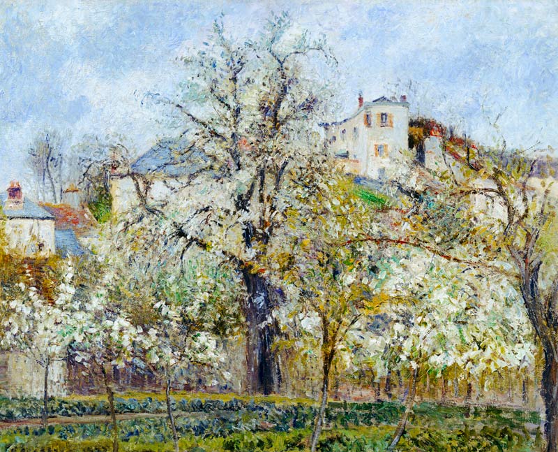 The Vegetable Garden with Trees in Blossom, Spring, Pontoise von Camille Pissarro