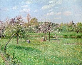 Apple Trees at Gragny, Afternoon Sun 1900
