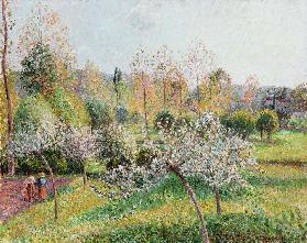Blühende Apfelbäume in Eragny 1895