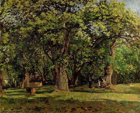 The Forest 1870