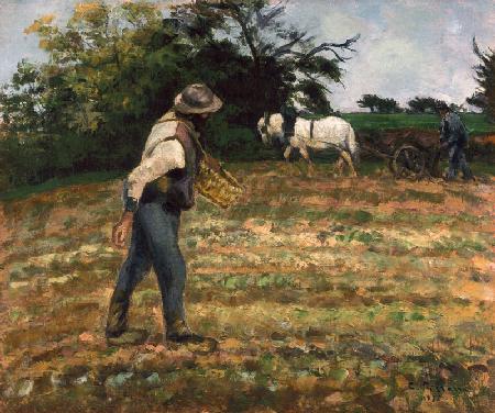 The Sower, Montfoucault 1875