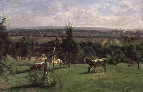 Hillside of Vesinet, Yvelines 1871