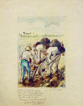 Pissarro / Ploughing Peasant / 1898