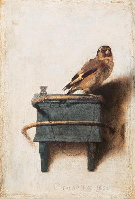 Der Distelfink - Carel Fabritius