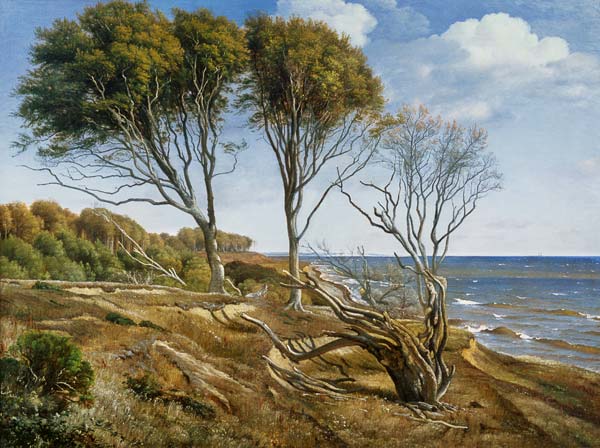 A Coastal Landscape von Carl Frederik Aagaard