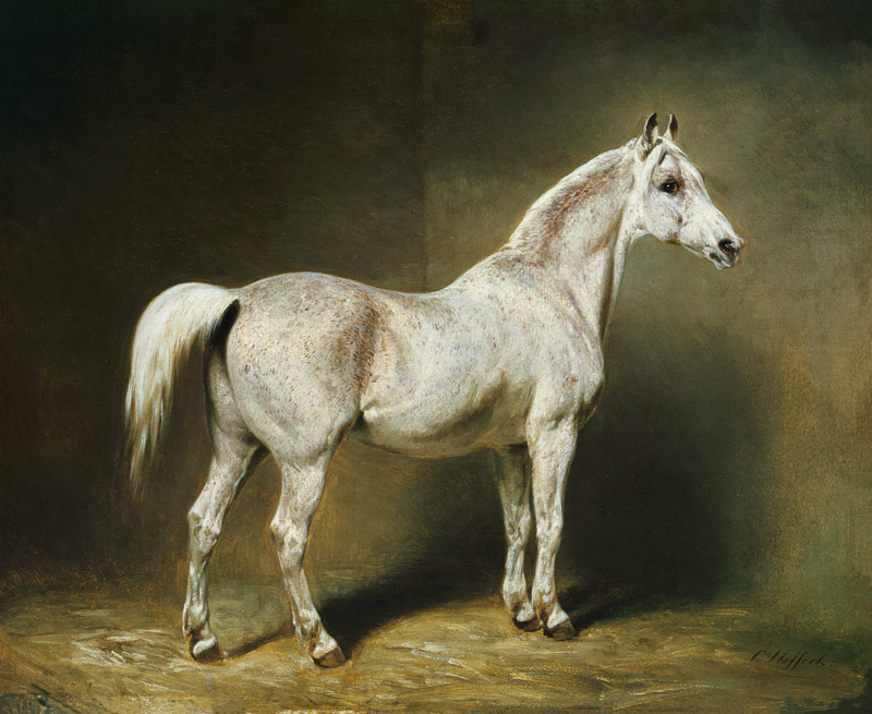 'Beatrice', the white arab saddlehorse of Helmuth Graf von Moltke von Carl Constantin Steffeck