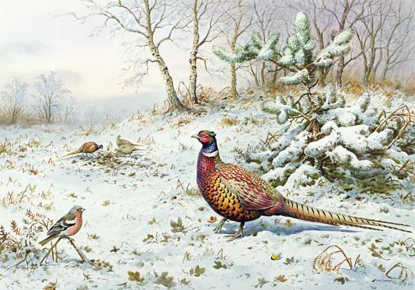 Cock Pheasant and Chaffinch  von Carl  Donner