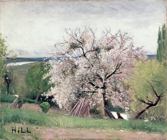 Fruit Tree in Blossom, Bois-le-Roi von Carl Fredrik Hill