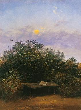 Blühende Holunderecke im Mondschein um 1825