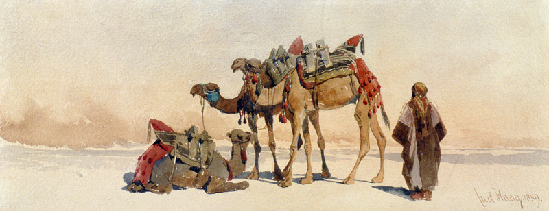 Resting with Three Camels in the Desert von Carl Haag