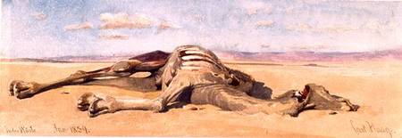 A Dead Camel von Carl Haag