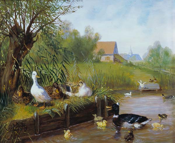 Enten am Flußufer von Carl Jutz