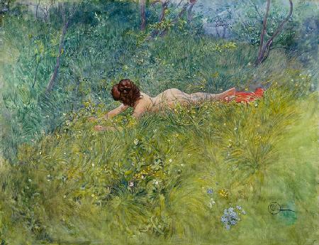 Im Grase (I gröngraset) 1902