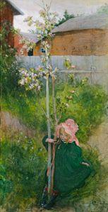 Apfelblüte (Appelblom) 1894
