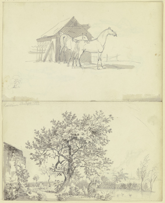 Zwei Pferde vor einem Stall; Garten an einem Wasserlauf bei Rödelheim von Carl Morgenstern