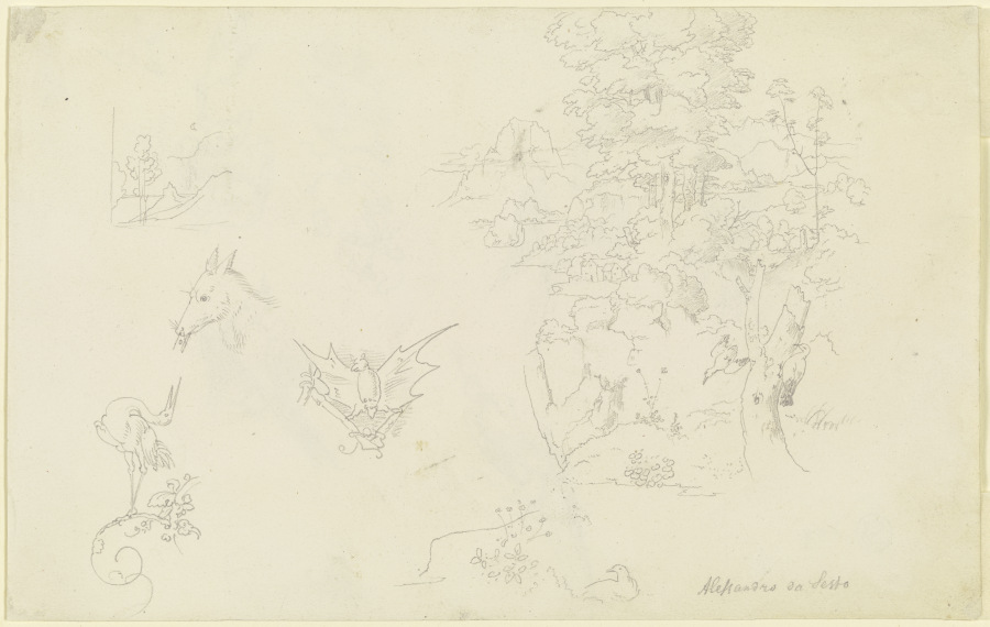 Tiere mit Ranken; eine Fledermaus; ein kleiner und ein größerer Landschaftsausschnitt mit zwei Vögel von Carl Philipp Fohr